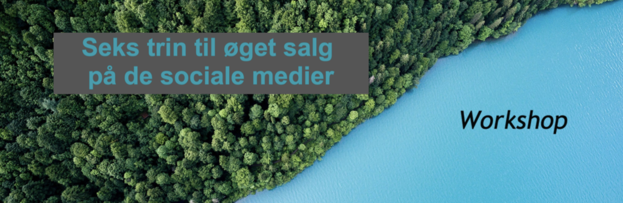 Skærmbillede 2020-06-05 kl. 23.06.23